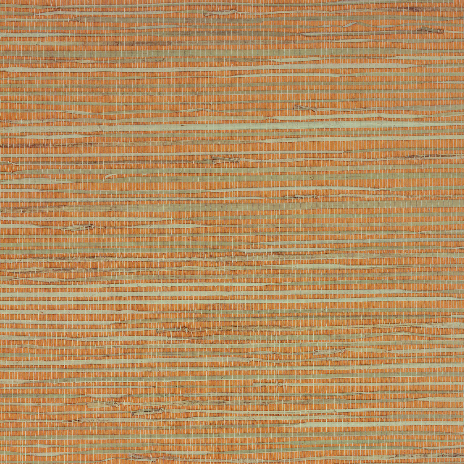 Фото обоев Ниас 4,5