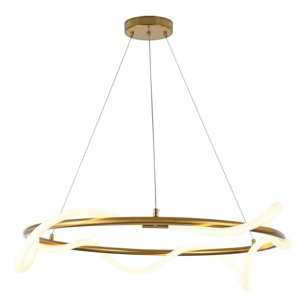 Фото светильника 08040-80,20
