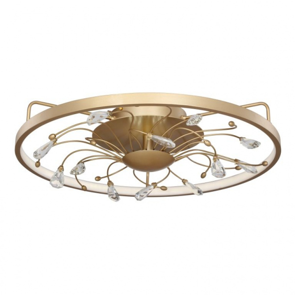 Фото светильника 2534-5C